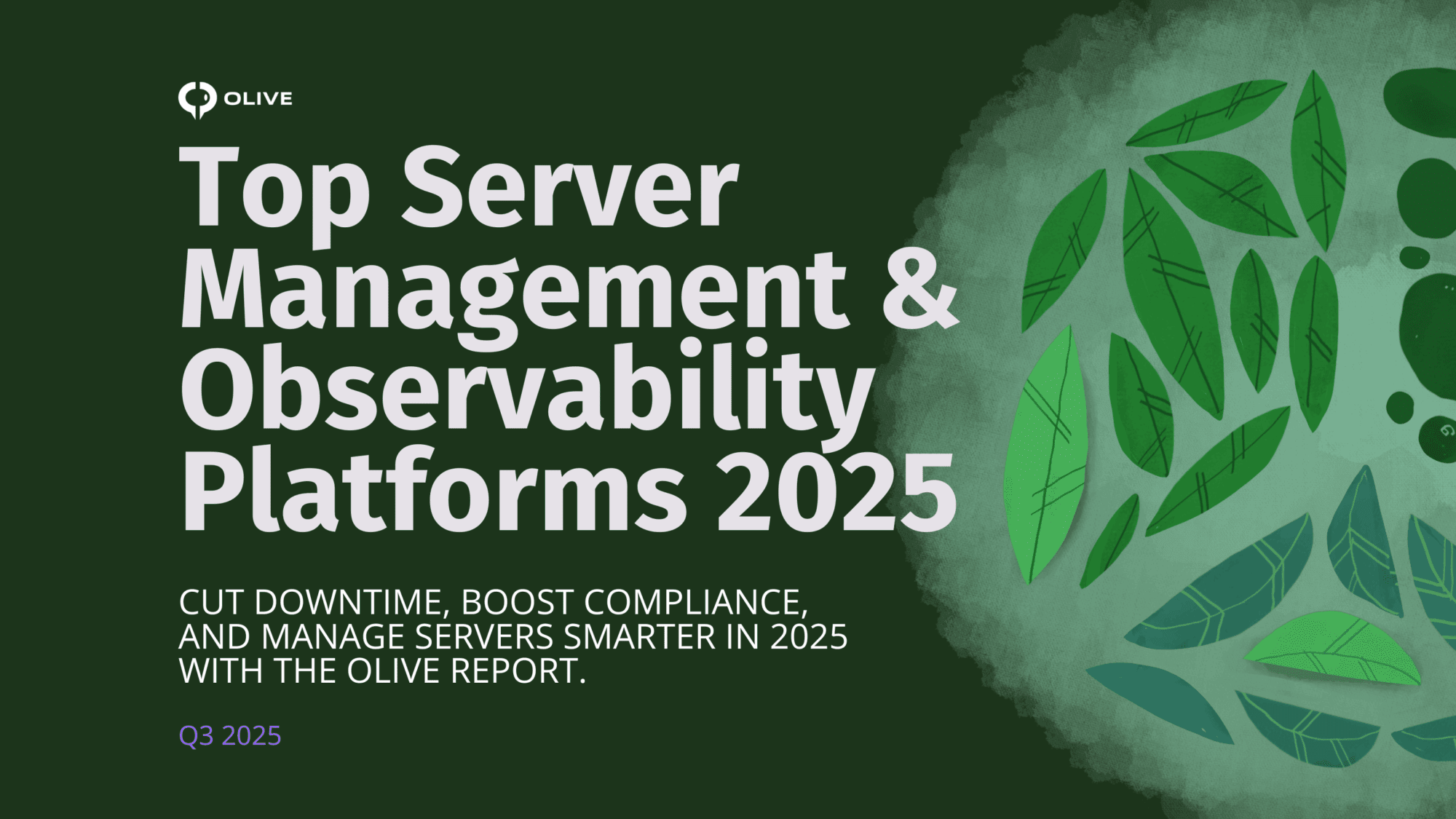 Top server management software platforms 2025