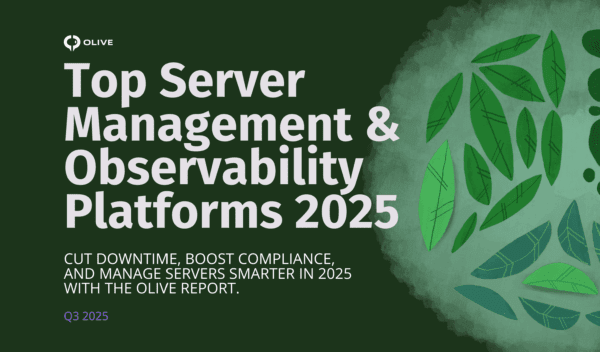 Top server management software platforms 2025