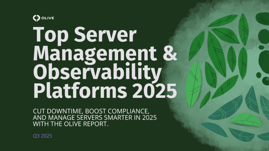Top server management software platforms 2025