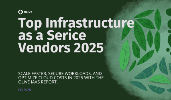 Top IaaS vendors in 2025 – cloud infrastructure providers ranked for performance, security, and cost optimization.